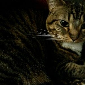 Meet your Posher, Pamela